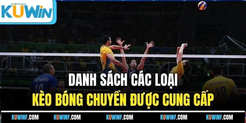 Danh sách các loại kèo bóng chuyền được cung cấp