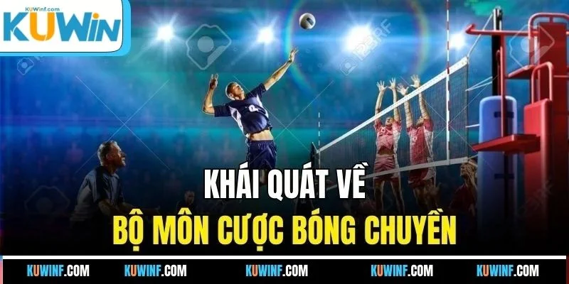 Khái quát về bộ môn cược bóng chuyền